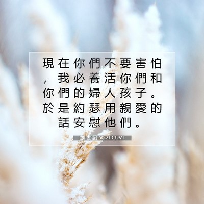 Picture 07 - 創 世 記 50:21 CUVT - 現 在 你 們 不 要 害 怕 ， 我 必 養 - Bible Verse Picture