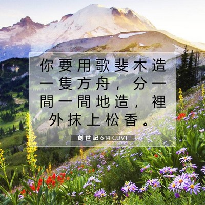 Picture 07 - 創 世 記 6:14 CUVT - 你 要 用 歌 斐 木 造 一 隻 方 舟 ， - Bible Verse Picture