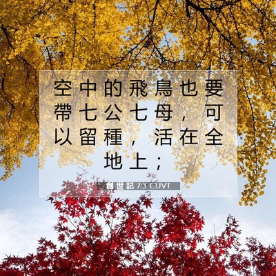 Picture 07 - 創 世 記 7:3 CUVT - 空 中 的 飛 鳥 也 要 帶 七 公 七 母 - Bible Verse Picture