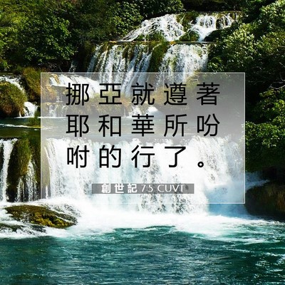 Picture 07 - 創 世 記 7:5 CUVT - 挪 亞 就 遵 著 耶 和 華 所 吩 咐 的 - Bible Verse Picture