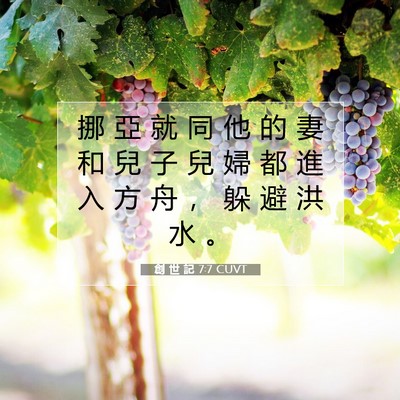 Picture 07 - 創 世 記 7:7 CUVT - 挪 亞 就 同 他 的 妻 和 兒 子 兒 婦 - Bible Verse Picture