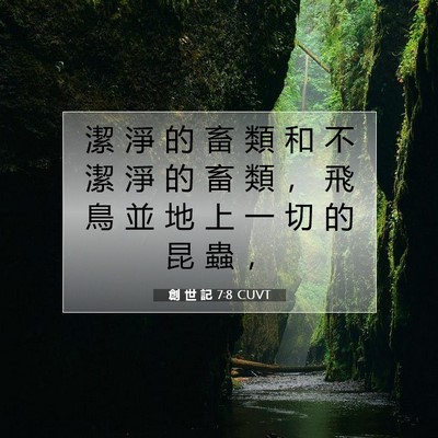 Picture 07 - 創 世 記 7:8 CUVT - 潔 淨 的 畜 類 和 不 潔 淨 的 畜 類 - Bible Verse Picture