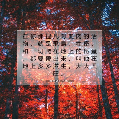 Picture 07 - 創 世 記 8:17 CUVT - 在 你 那 裡 凡 有 血 肉 的 活 物 ， - Bible Verse Picture