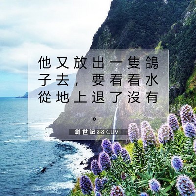 Picture 07 - 創 世 記 8:8 CUVT - 他 又 放 出 一 隻 鴿 子 去 ， 要 看 - Bible Verse Picture