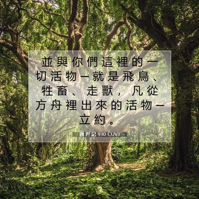 Picture 07 - 創 世 記 9:10 CUVT - 並 與 你 們 這 裡 的 一 切 活 物 ─ - Bible Verse Picture