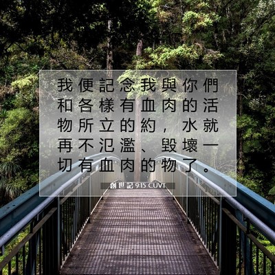 Picture 07 - 創 世 記 9:15 CUVT - 我 便 記 念 我 與 你 們 和 各 樣 有 - Bible Verse Picture