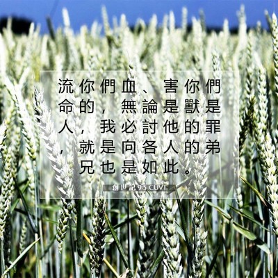 Picture 07 - 創 世 記 9:5 CUVT - 流 你 們 血 、 害 你 們 命 的 ， 無 - Bible Verse Picture