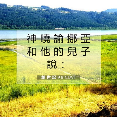 Picture 07 - 創 世 記 9:8 CUVT - 神 曉 諭 挪 亞 和 他 的 兒 子 說 - Bible Verse Picture