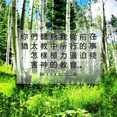 Picture 07 - 加 拉 太 書 1:13 CUVT - 你 們 聽 見 我 從 前 在 猶 太 教 中 - Bible Verse Picture