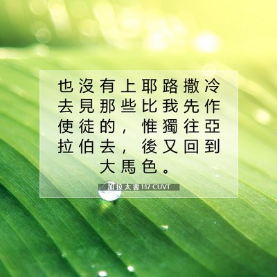 Picture 07 - 加 拉 太 書 1:17 CUVT - 也 沒 有 上 耶 路 撒 冷 去 見 那 些 - Bible Verse Picture