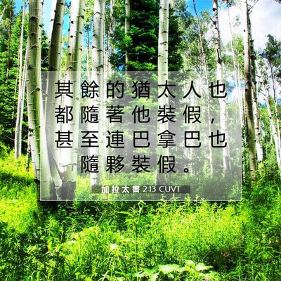 Picture 07 - 加 拉 太 書 2:13 CUVT - 其 餘 的 猶 太 人 也 都 隨 著 他 裝 - Bible Verse Picture