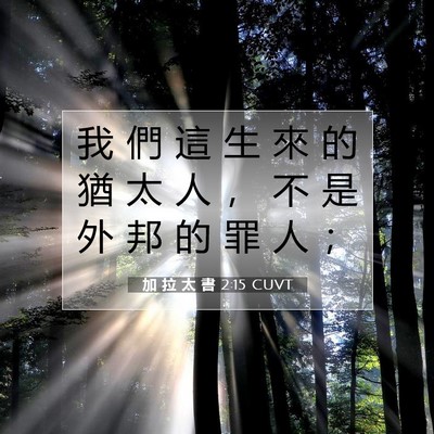 Picture 07 - 加 拉 太 書 2:15 CUVT - 我 們 這 生 來 的 猶 太 人 ， 不 是 - Bible Verse Picture