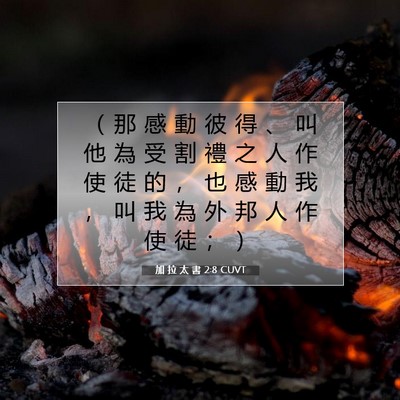 Picture 07 - 加 拉 太 書 2:8 CUVT - （ 那 感 動 彼 得 、 叫 他 為 受 割 - Bible Verse Picture