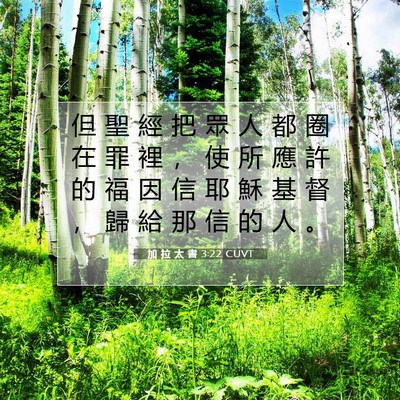 Picture 07 - 加 拉 太 書 3:22 CUVT - 但 聖 經 把 眾 人 都 圈 在 罪 裡 ， - Bible Verse Picture