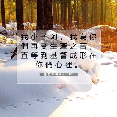 Picture 07 - 加 拉 太 書 4:19 CUVT - 我 小 子 阿 ， 我 為 你 們 再 受 生 - Bible Verse Picture