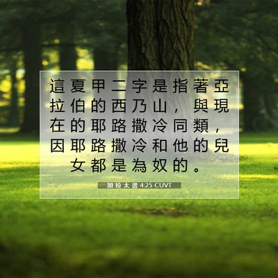 Picture 07 - 加 拉 太 書 4:25 CUVT - 這 夏 甲 二 字 是 指 著 亞 拉 伯 的 - Bible Verse Picture