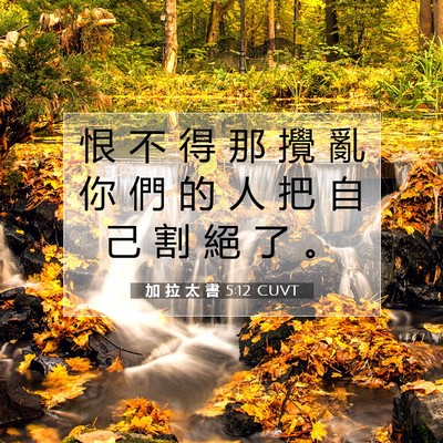 Picture 07 - 加 拉 太 書 5:12 CUVT - 恨 不 得 那 攪 亂 你 們 的 人 把 自 - Bible Verse Picture