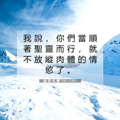 Picture 07 - 加 拉 太 書 5:16 CUVT - 我 說 ， 你 們 當 順 著 聖 靈 而 行 - Bible Verse Picture