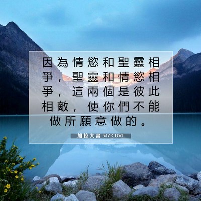 Picture 07 - 加 拉 太 書 5:17 CUVT - 因 為 情 慾 和 聖 靈 相 爭 ， 聖 靈 - Bible Verse Picture