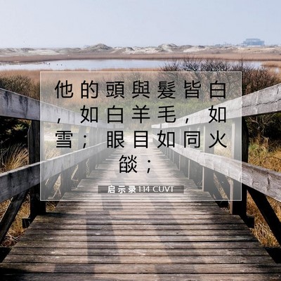 Picture 07 - 启 示 录 1:14 CUVT - 他 的 頭 與 髮 皆 白 ， 如 白 羊 毛 - Bible Verse Picture