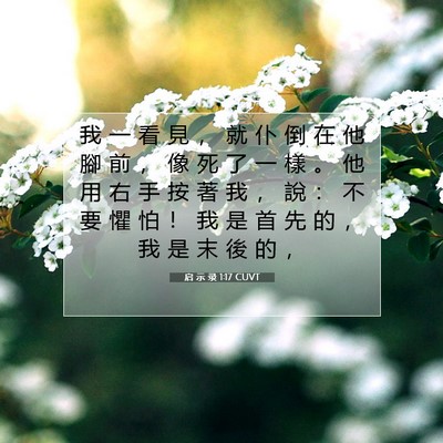 Picture 07 - 启 示 录 1:17 CUVT - 我 一 看 見 ， 就 仆 倒 在 他 腳 前 - Bible Verse Picture
