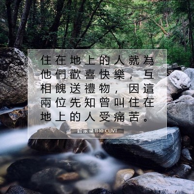 Picture 07 - 启 示 录 11:10 CUVT - 住 在 地 上 的 人 就 為 他 們 歡 喜 - Bible Verse Picture