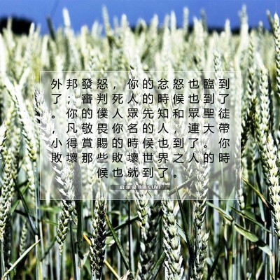 Picture 07 - 启 示 录 11:18 CUVT - 外 邦 發 怒 ， 你 的 忿 怒 也 臨 到 - Bible Verse Picture