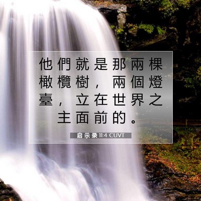 Picture 07 - 启 示 录 11:4 CUVT - 他 們 就 是 那 兩 棵 橄 欖 樹 ， 兩 - Bible Verse Picture