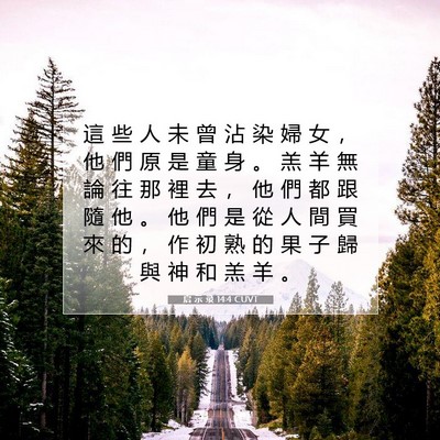 Picture 07 - 启 示 录 14:4 CUVT - 這 些 人 未 曾 沾 染 婦 女 ， 他 們 - Bible Verse Picture