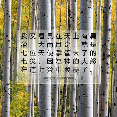 Picture 07 - 启 示 录 15:1 CUVT - 我 又 看 見 在 天 上 有 異 象 ， 大 - Bible Verse Picture