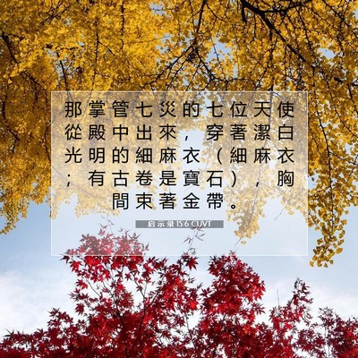 Picture 07 - 启 示 录 15:6 CUVT - 那 掌 管 七 災 的 七 位 天 使 從 殿 - Bible Verse Picture
