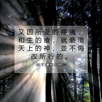 Picture 07 - 启 示 录 16:11 CUVT - 又 因 所 受 的 疼 痛 ， 和 生 的 瘡 - Bible Verse Picture