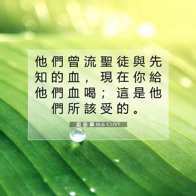 Picture 07 - 启 示 录 16:6 CUVT - 他 們 曾 流 聖 徒 與 先 知 的 血 ， - Bible Verse Picture