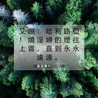 Picture 07 - 启 示 录 19:3 CUVT - 又 說 ： 哈 利 路 亞 ！ 燒 淫 婦 的 - Bible Verse Picture