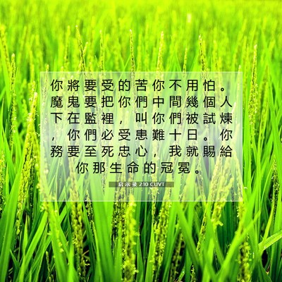 Picture 07 - 启 示 录 2:10 CUVT - 你 將 要 受 的 苦 你 不 用 怕 。 魔 - Bible Verse Picture
