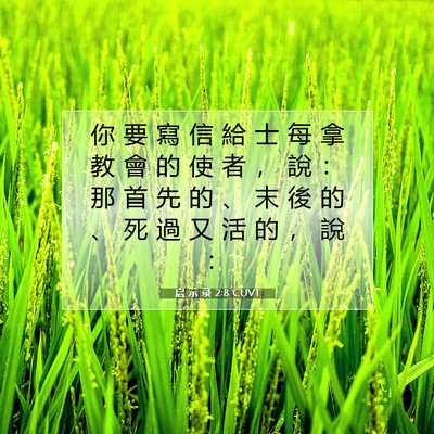 Picture 07 - 启 示 录 2:8 CUVT - 你 要 寫 信 給 士 每 拿 教 會 的 使 - Bible Verse Picture