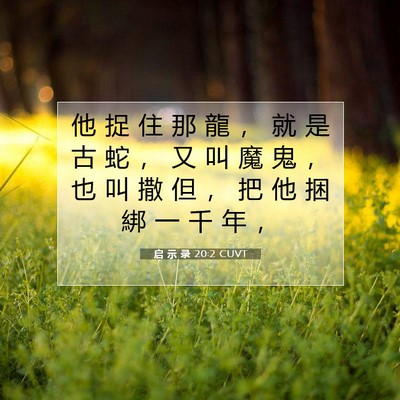 Picture 07 - 启 示 录 20:2 CUVT - 他 捉 住 那 龍 ， 就 是 古 蛇 ， 又 - Bible Verse Picture