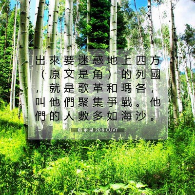 Picture 07 - 启 示 录 20:8 CUVT - 出 來 要 迷 惑 地 上 四 方 （ 原 文 - Bible Verse Picture
