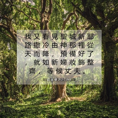 Picture 07 - 启 示 录 21:2 CUVT - 我 又 看 見 聖 城 新 耶 路 撒 冷 由 - Bible Verse Picture