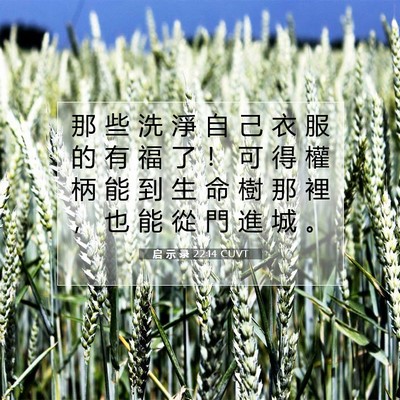Picture 07 - 启 示 录 22:14 CUVT - 那 些 洗 淨 自 己 衣 服 的 有 福 了 - Bible Verse Picture