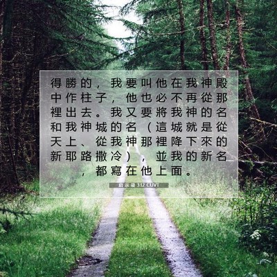 Picture 07 - 启 示 录 3:12 CUVT - 得 勝 的 ， 我 要 叫 他 在 我 神 殿 - Bible Verse Picture