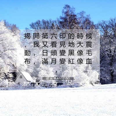 Picture 07 - 启 示 录 6:12 CUVT - 揭 開 第 六 印 的 時 候 ， 我 又 看 - Bible Verse Picture