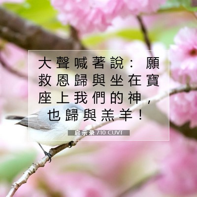 Picture 07 - 启 示 录 7:10 CUVT - 大 聲 喊 著 說 ： 願 救 恩 歸 與 坐 - Bible Verse Picture