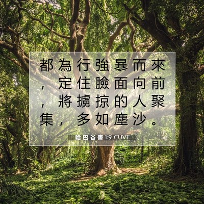 Picture 07 - 哈 巴 谷 書 1:9 CUVT - 都 為 行 強 暴 而 來 ， 定 住 臉 面 - Bible Verse Picture