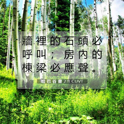 Picture 07 - 哈 巴 谷 書 2:11 CUVT - 牆 裡 的 石 頭 必 呼 叫 ； 房 內 的 - Bible Verse Picture