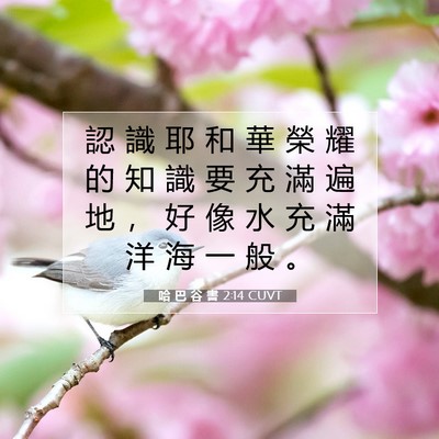 Picture 07 - 哈 巴 谷 書 2:14 CUVT - 認 識 耶 和 華 榮 耀 的 知 識 要 充 - Bible Verse Picture