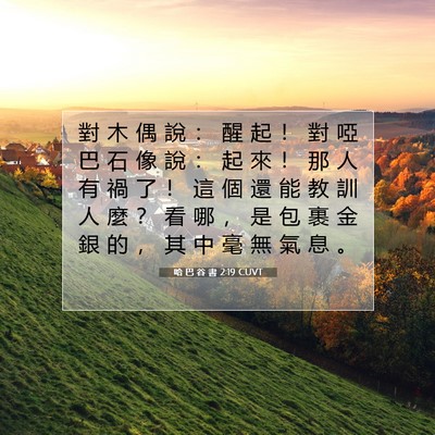 Picture 07 - 哈 巴 谷 書 2:19 CUVT - 對 木 偶 說 ： 醒 起 ！ 對 啞 巴 石 - Bible Verse Picture