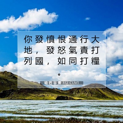 Picture 07 - 哈 巴 谷 書 3:12 CUVT - 你 發 憤 恨 通 行 大 地 ， 發 怒 氣 - Bible Verse Picture