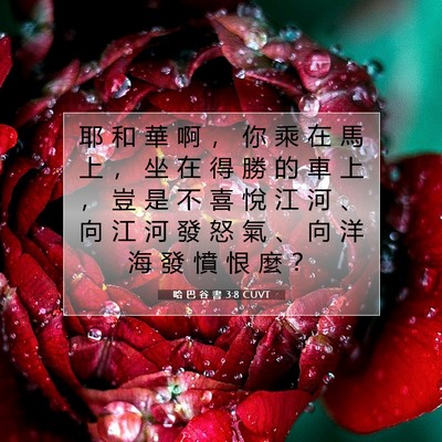 Picture 07 - 哈 巴 谷 書 3:8 CUVT - 耶 和 華 啊 ， 你 乘 在 馬 上 ， 坐 - Bible Verse Picture