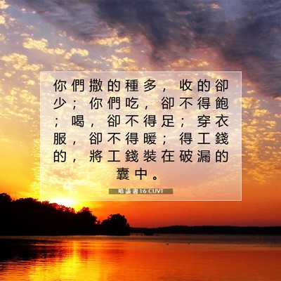 Picture 07 - 哈 該 書 1:6 CUVT - 你 們 撒 的 種 多 ， 收 的 卻 少 ； - Bible Verse Picture